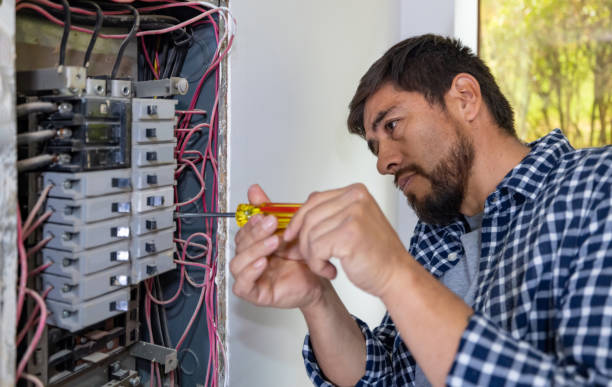 Best Ceiling Fan Installation Electrician  in Leona Valley, CA